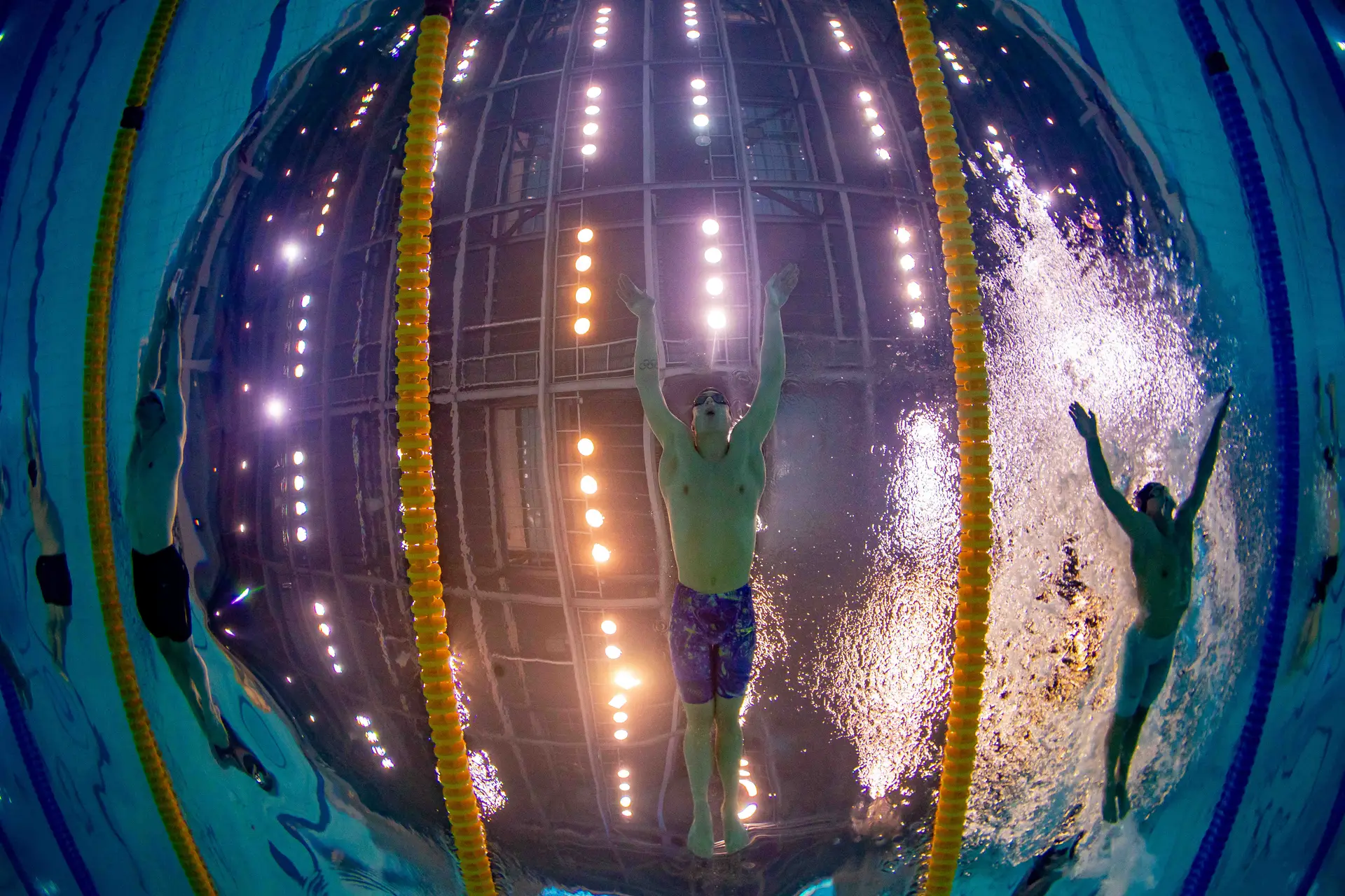 Cedric Büssing underwater butterfly