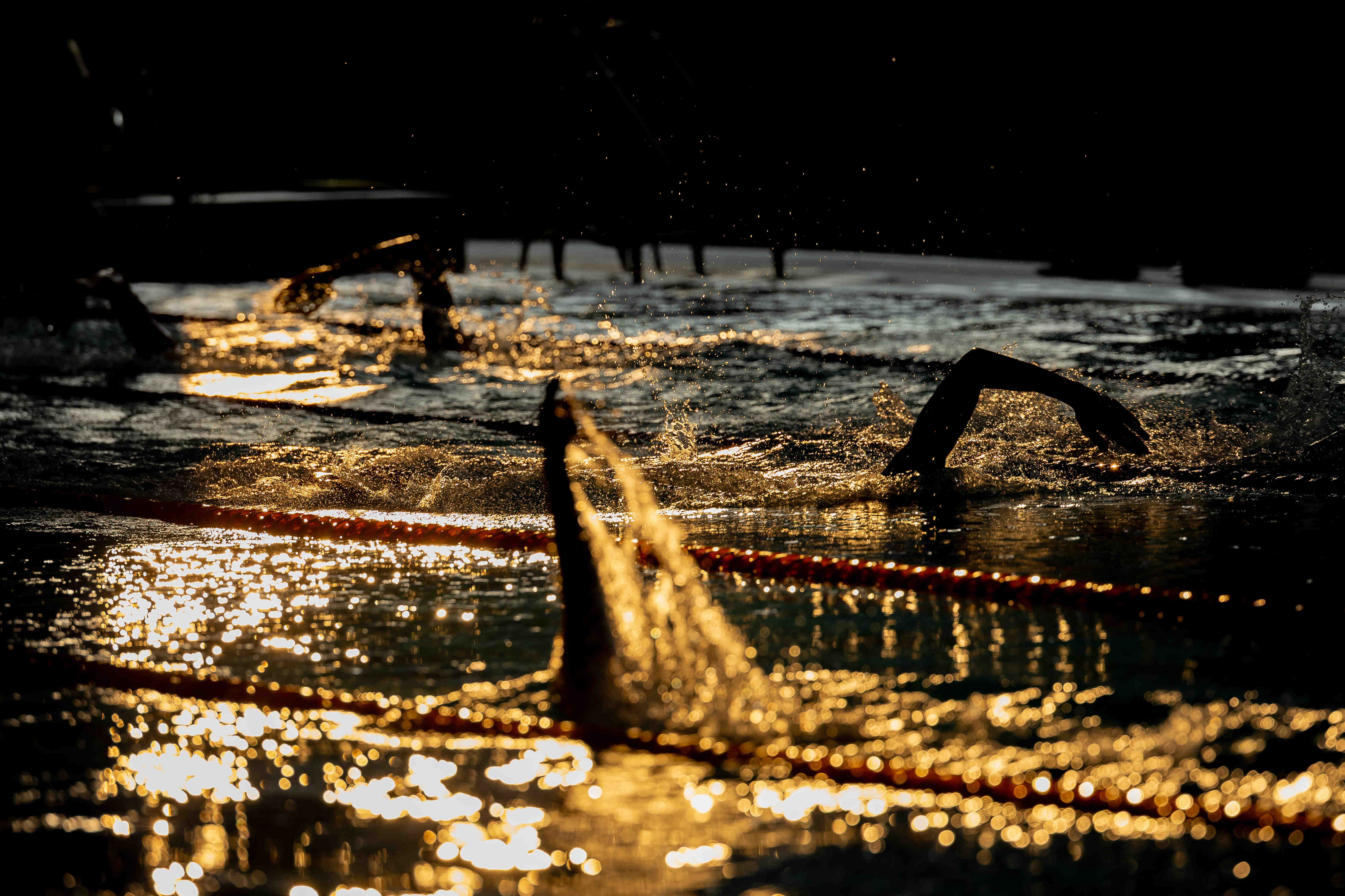 World Aquatics Championships Singapore 2025