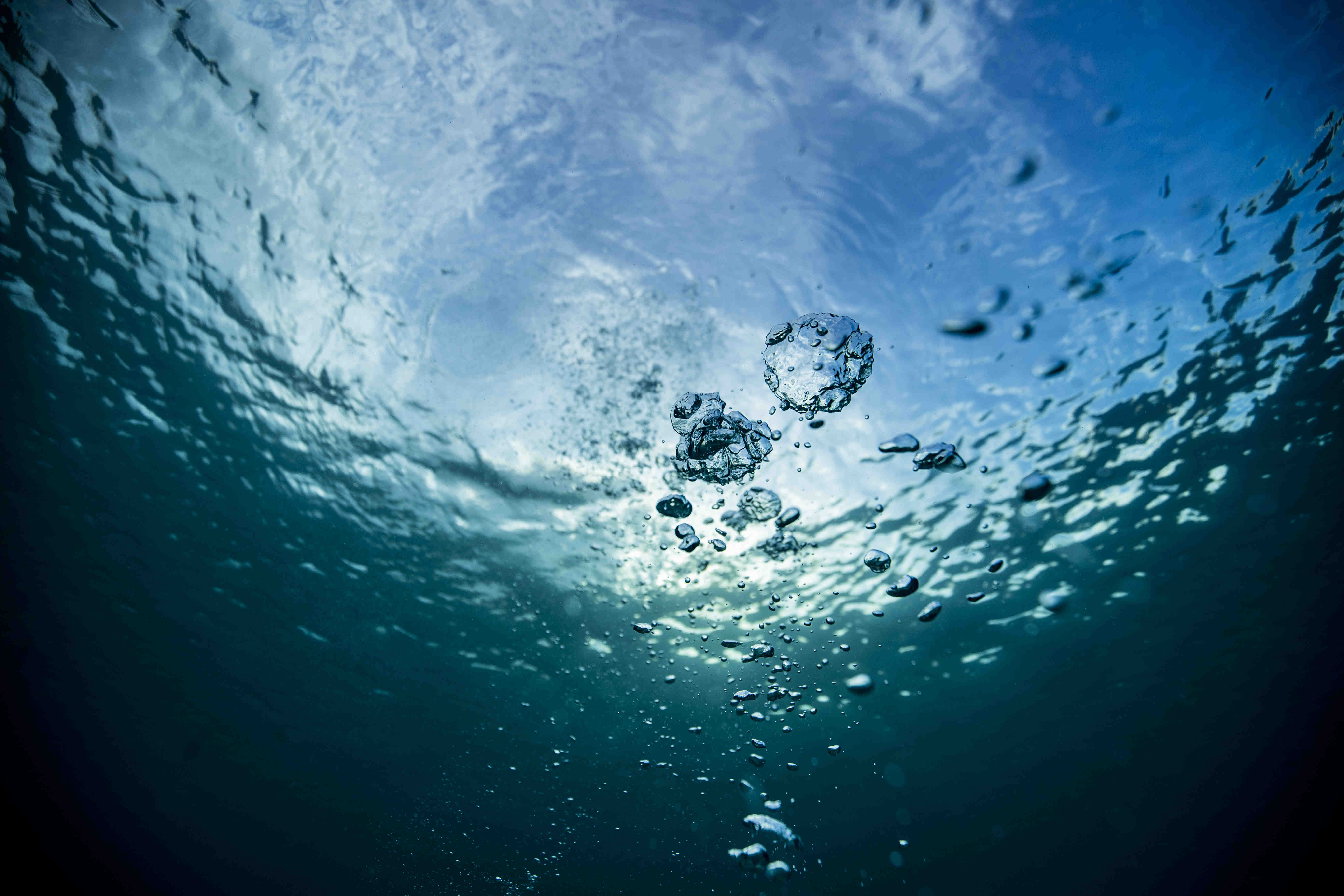 Open water swimming assignment
